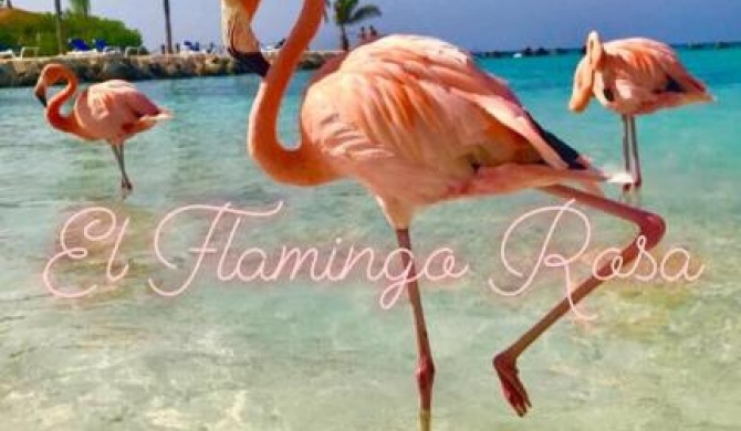 El Flamingo Rosa Cod IUN P5386