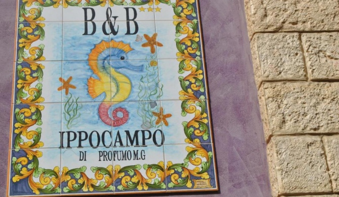 Ippocampo B&B